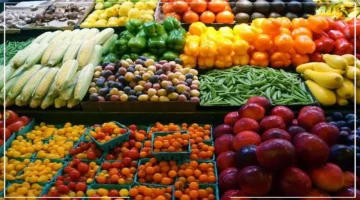 تطور جديد.. أسعار الخضروات والفواكه اليوم الأحد 14 سبتمبر 2025 تخالف التوقعات في سوق العبور 1